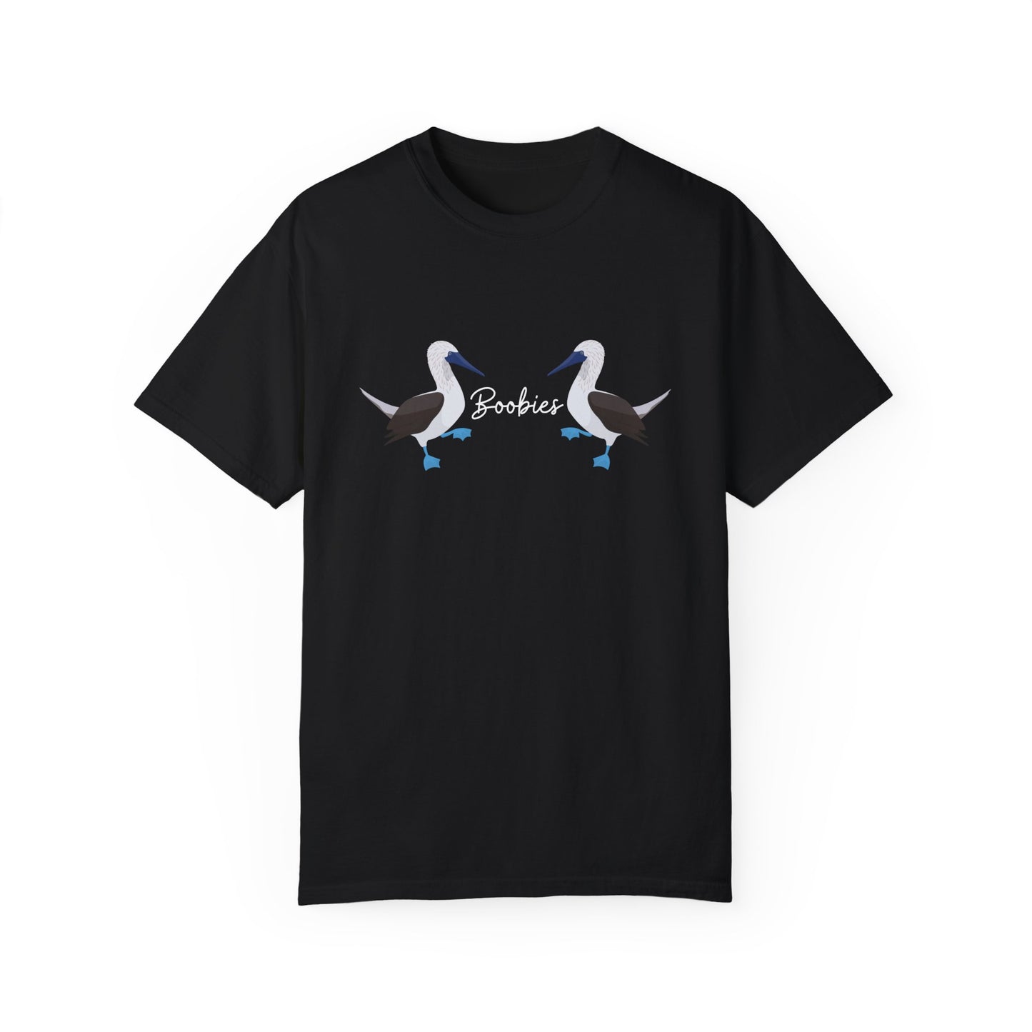 Boobies - Blue Footed Booby