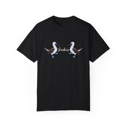 Boobies - Blue Footed Booby