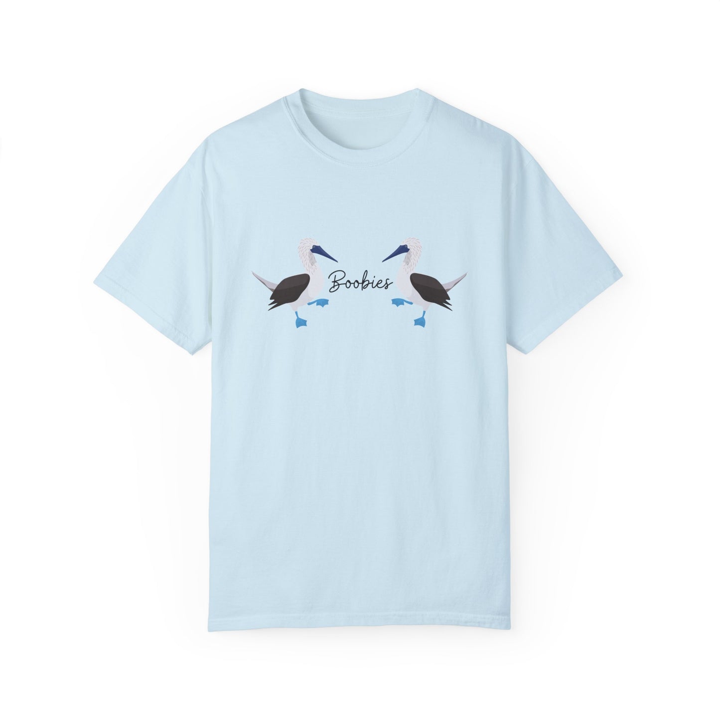 Boobies - Blue Footed Booby