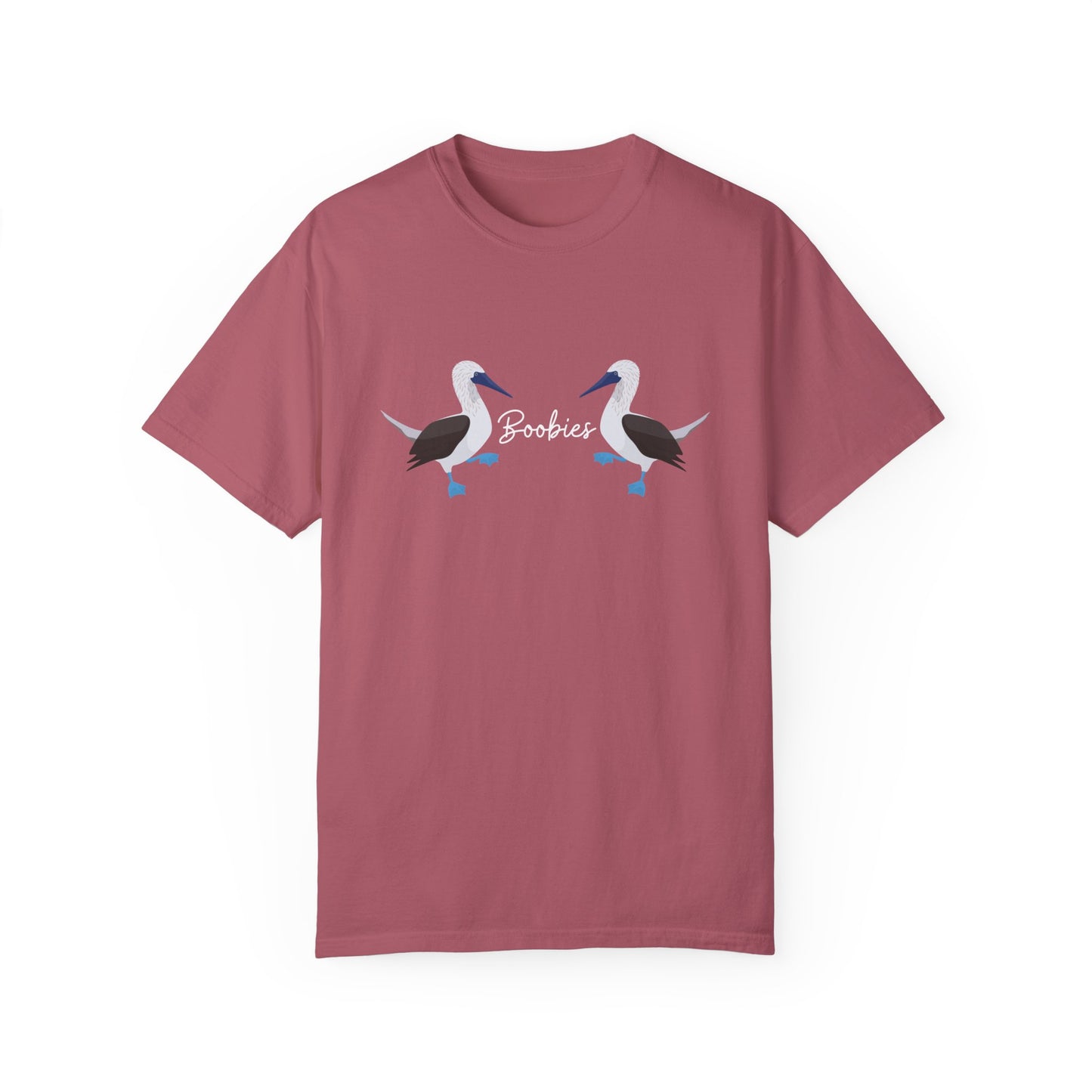 Boobies - Blue Footed Booby