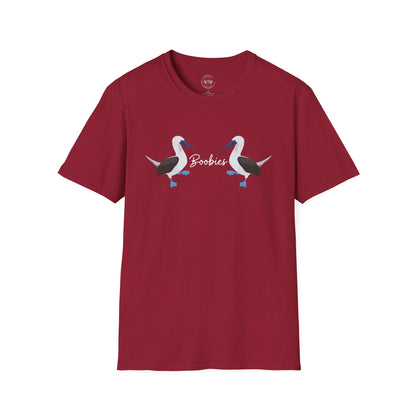 Boobies - Blue Footed Booby