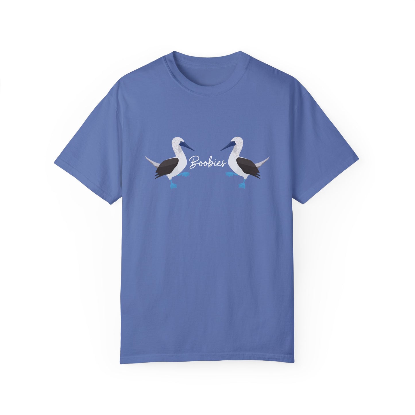 Boobies - Blue Footed Booby