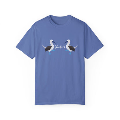 Boobies - Blue Footed Booby