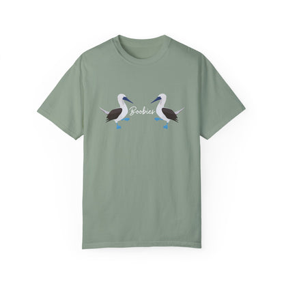 Boobies - Blue Footed Booby