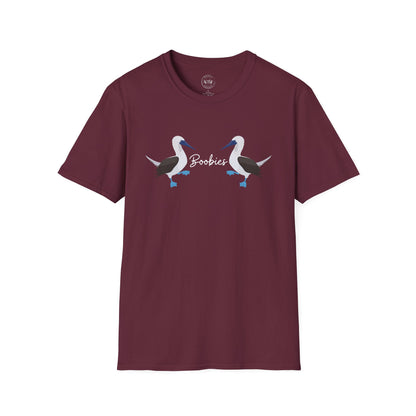 Boobies - Blue Footed Booby