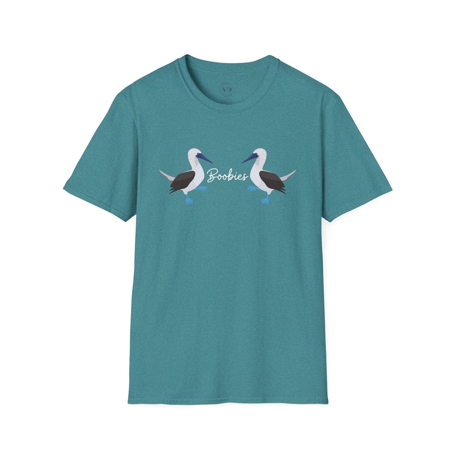 Boobies - Blue Footed Booby