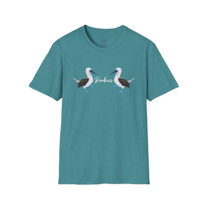 Boobies - Blue Footed Booby